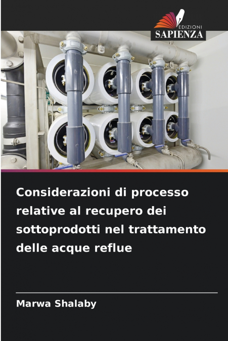 Considerazioni di processo relative al recupero dei sottoprodotti nel trattamento delle acque reflue