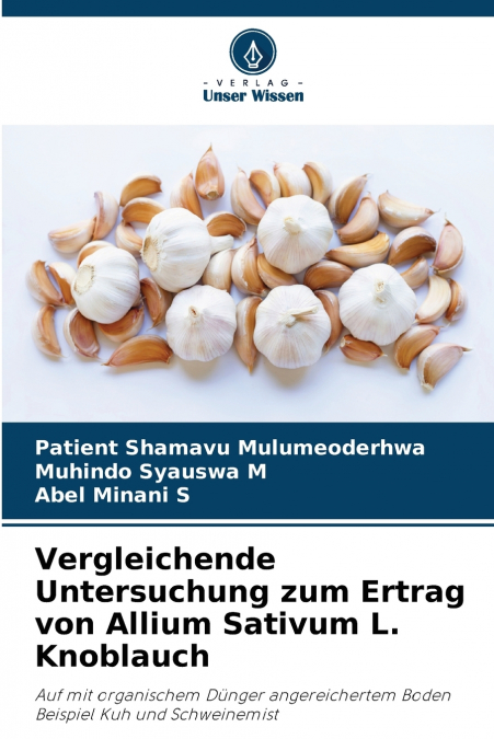 Vergleichende Untersuchung zum Ertrag von Allium Sativum L. Knoblauch