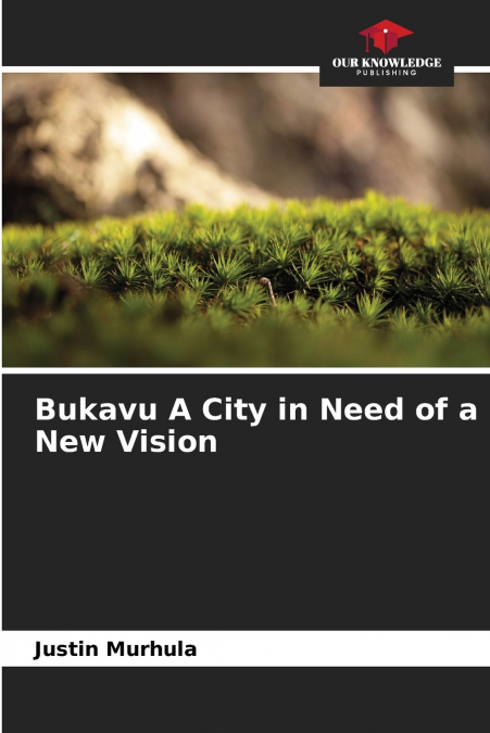 Bukavu A City in Need of a New Vision