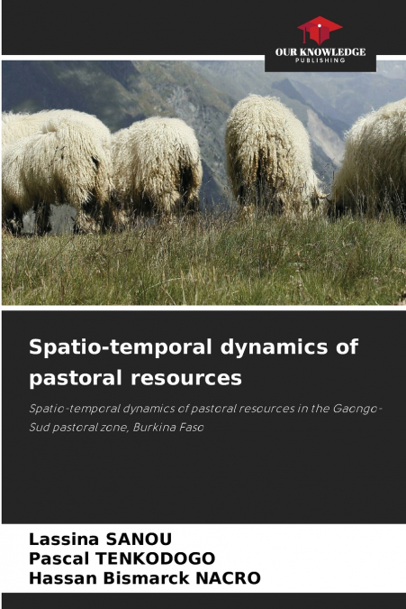 Spatio-temporal dynamics of pastoral resources