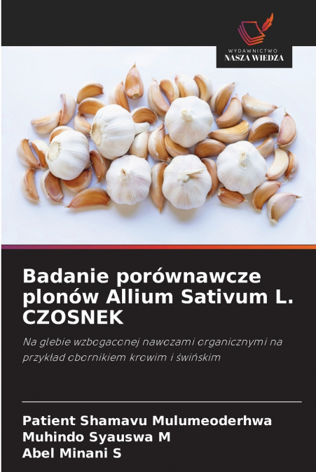 Badanie porównawcze plonów Allium Sativum L. CZOSNEK