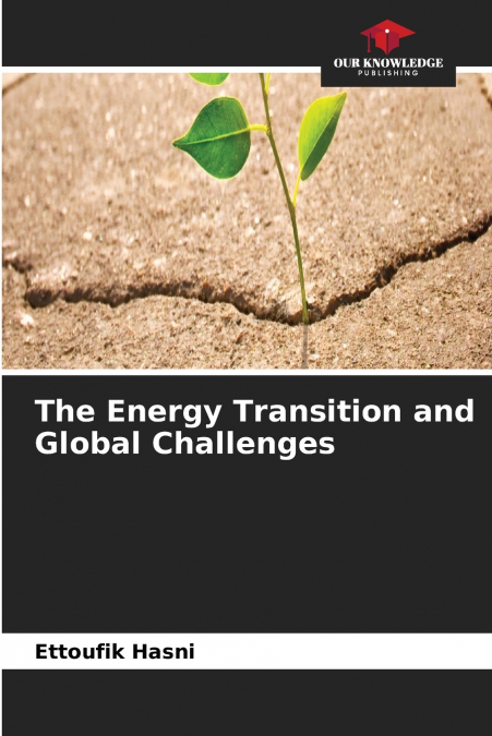 The Energy Transition and Global Challenges