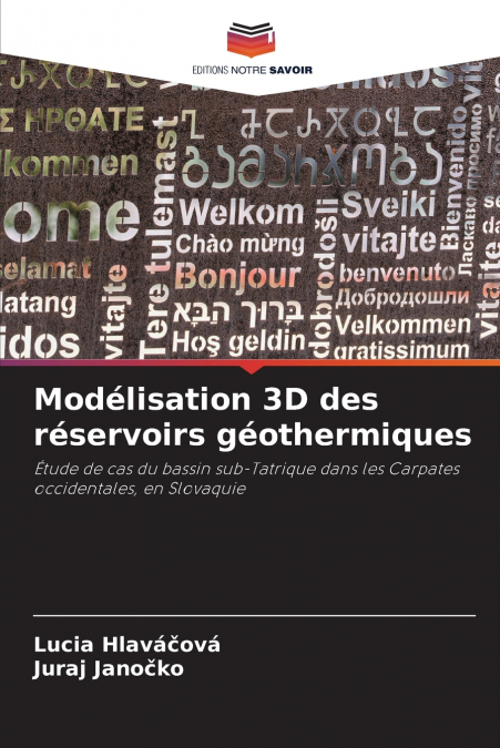 Modélisation 3D des réservoirs géothermiques