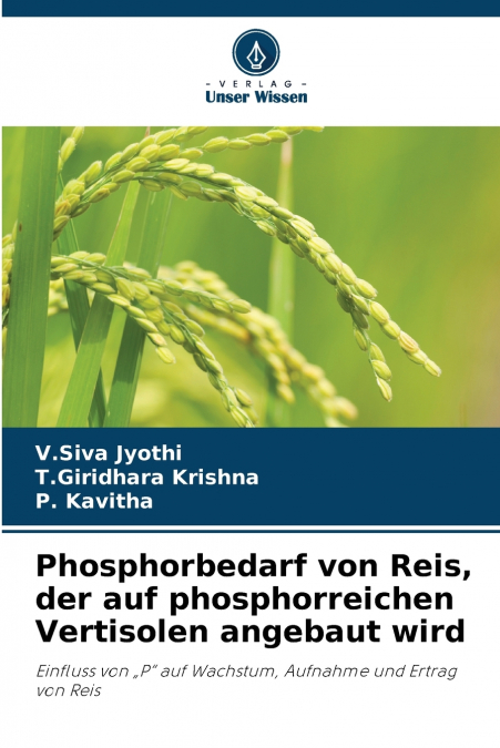 Phosphorbedarf von Reis, der auf phosphorreichen Vertisolen angebaut wird