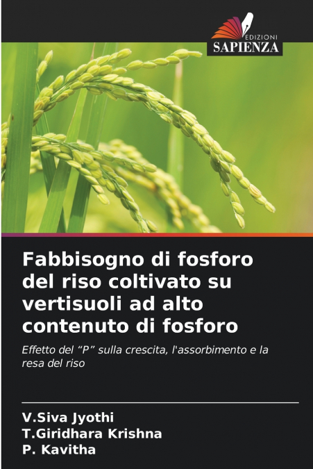 Fabbisogno di fosforo del riso coltivato su vertisuoli ad alto contenuto di fosforo