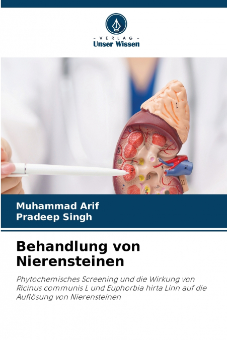 Behandlung von Nierensteinen