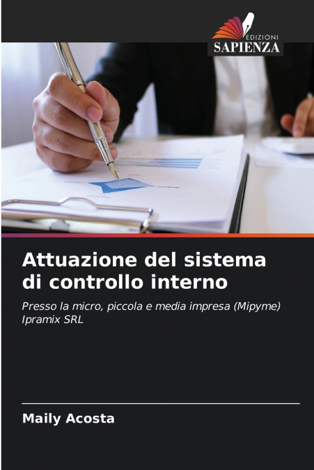Attuazione del sistema di controllo interno