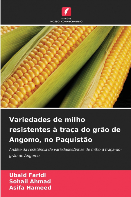 Variedades de milho resistentes à traça do grão de Angomo, no Paquistão