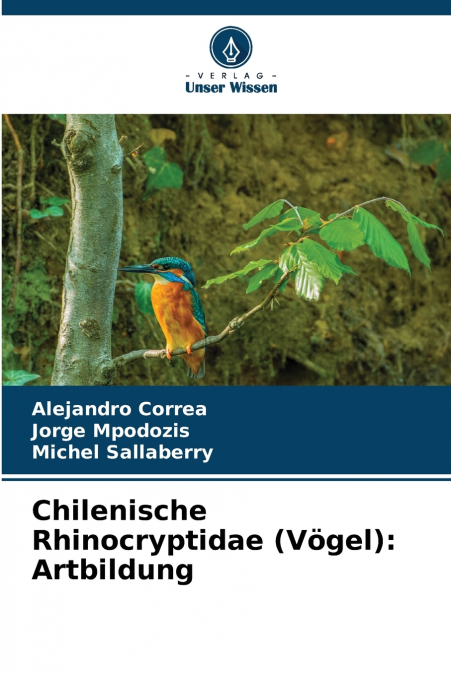 Chilenische Rhinocryptidae (Vögel)