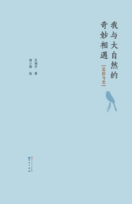 追踪鸟类