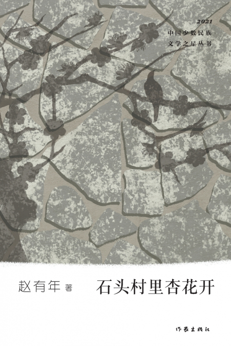 石头村里杏花开 Apricot Blossoms In Stone Village