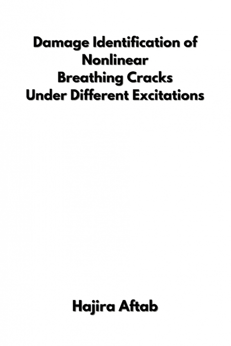 Damage Identification of Nonlinear  Breathing Cracks  Under Different Excitations