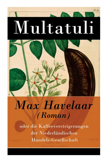 Max Havelaar (Roman)