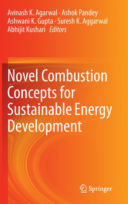 Novel Combustion Concepts for Sustainable Energy Development