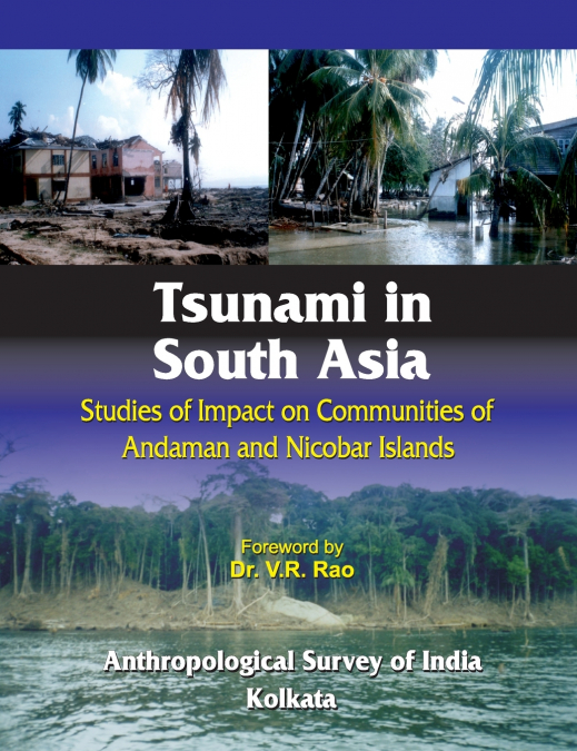 Tsunami in South Asia