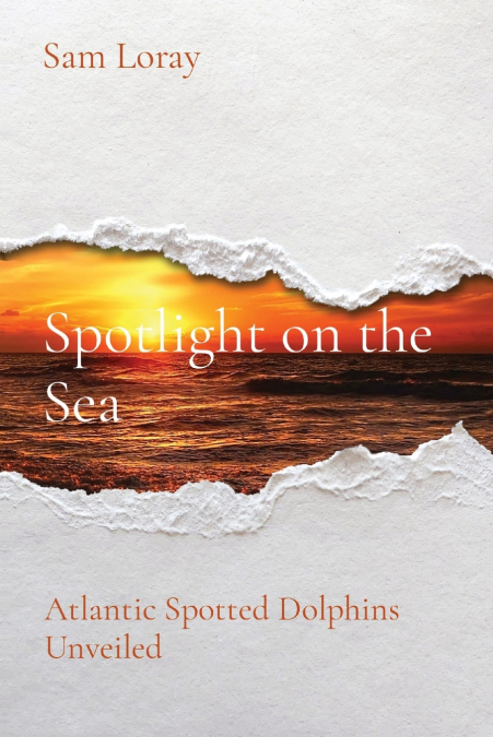 Spotlight on the Sea