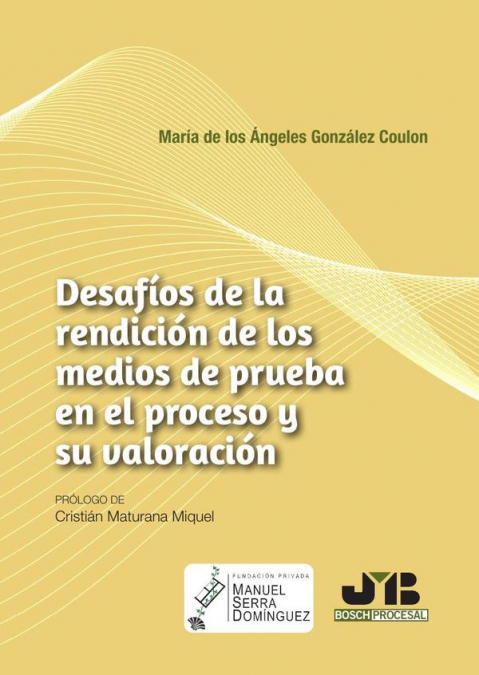 Desafíos de la rendición de los medios de prueba en el proceso y su valoración