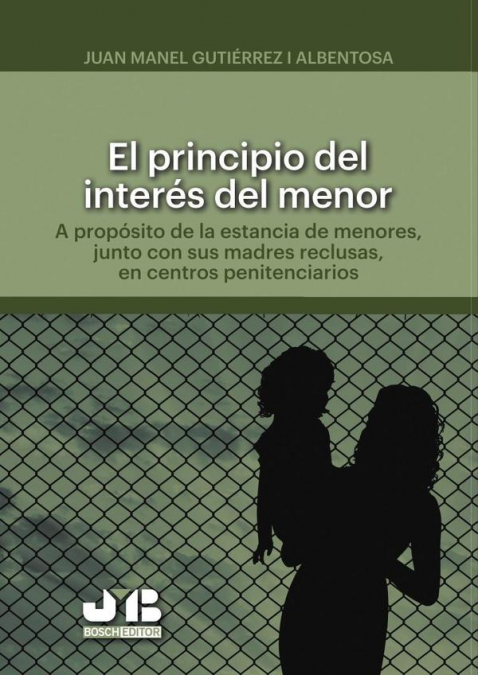El principio del interés del menor.