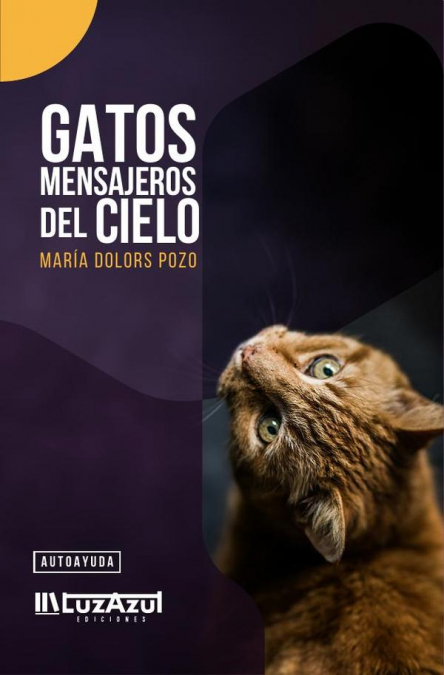 Gatos mensajeros del cielo