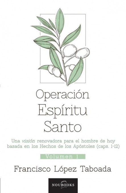 Operación Espíritu Santo