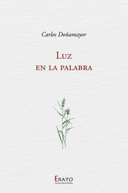 Luz en la palabra