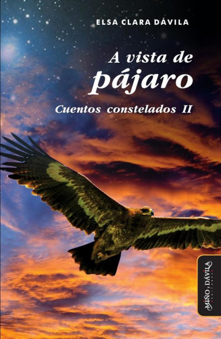 A vista de pájaro