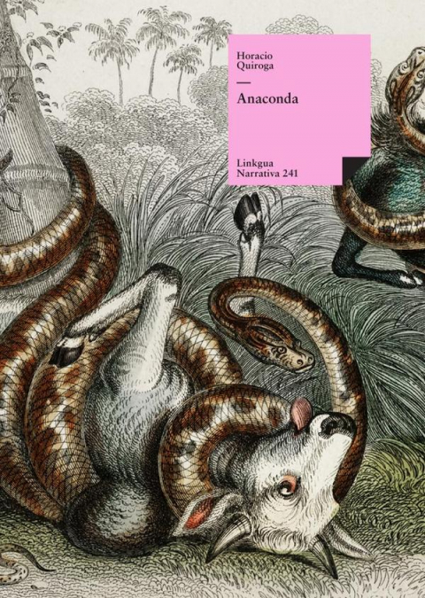 Anaconda