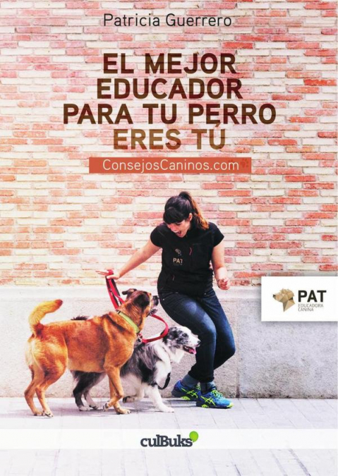 El mejor educador de tu perro eres tú