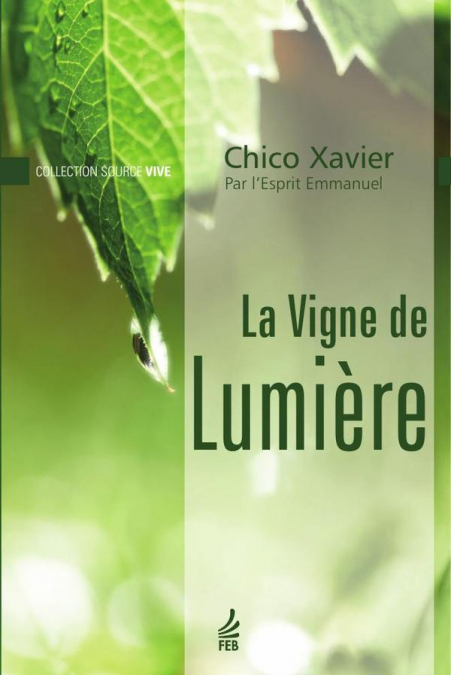 La vigne de lumière (Vinha de luz - Francês)
