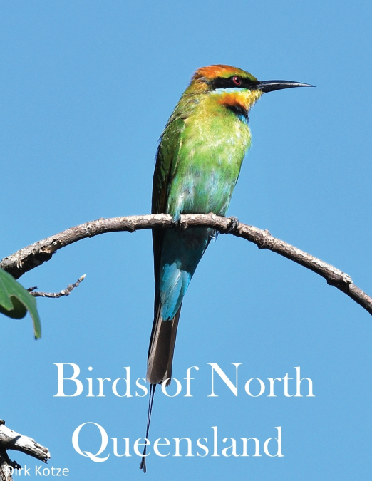Birds of North Queensland