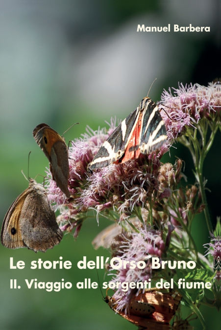 Le storie dell’Orso Bruno. II. Viaggio alle sorgenti del fiume