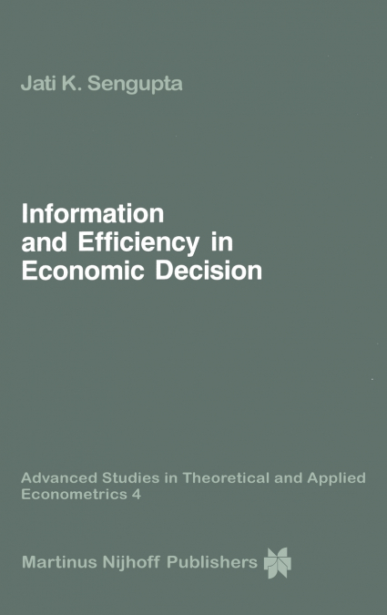 Information and Efficiency in Economic Decision