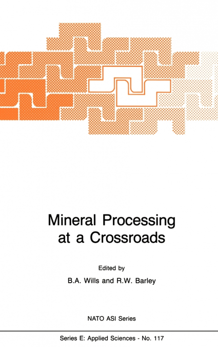 Mineral Processing at a Crossroads