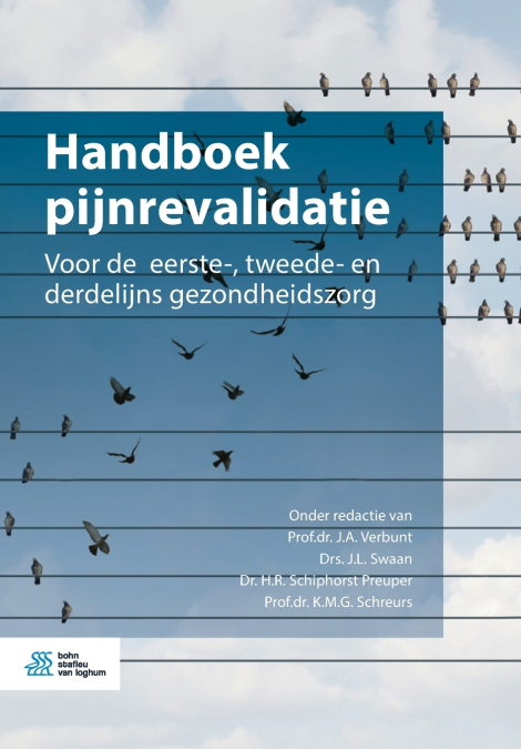 Handboek pijnrevalidatie