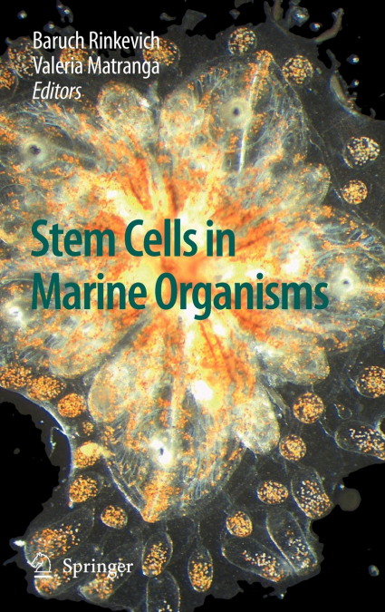 Stem Cells in Marine Organisms