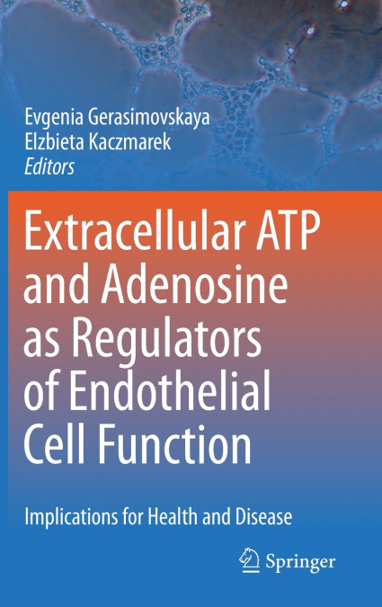 Extracellular ATP and adenosine as regulators of endothelial cell function