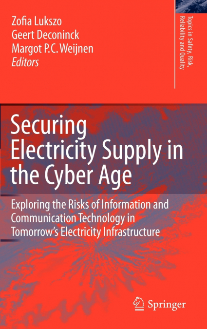 Securing Electricity Supply in the Cyber Age