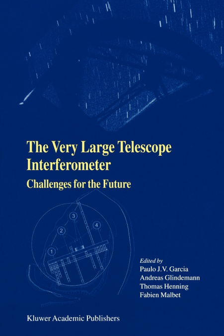 The Very Large Telescope Interferometer Challenges for the Future