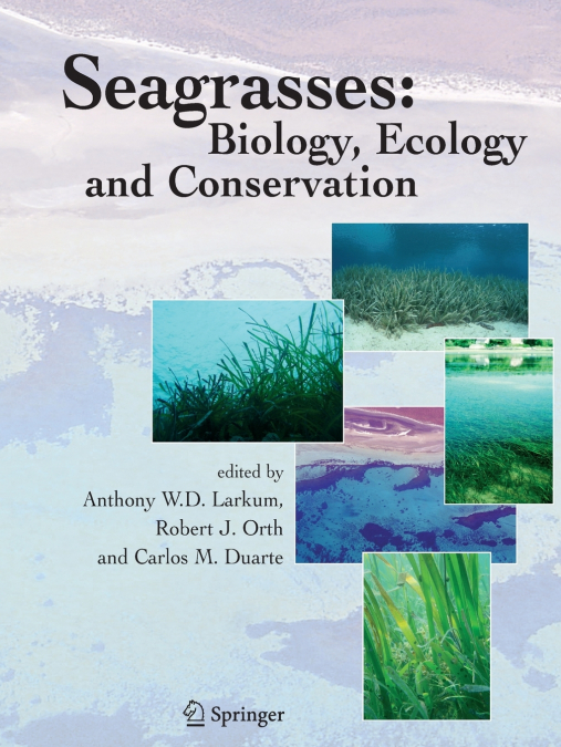Seagrasses