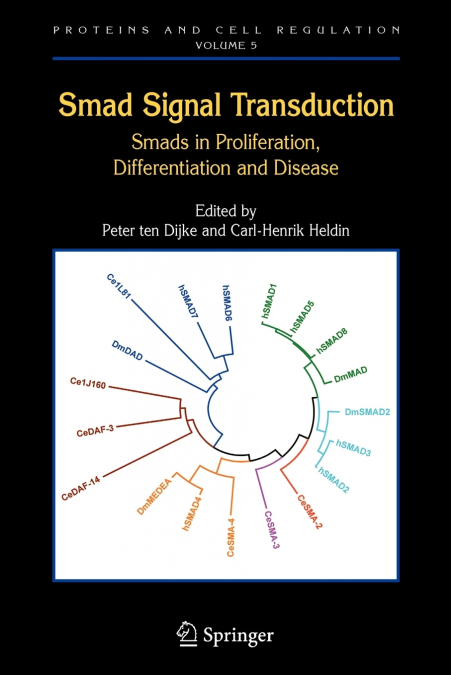 Smad Signal Transduction