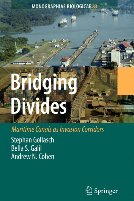 Bridging Divides