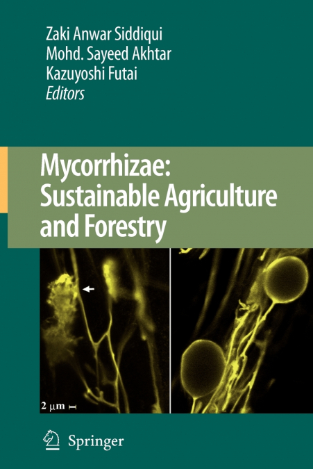 Mycorrhizae