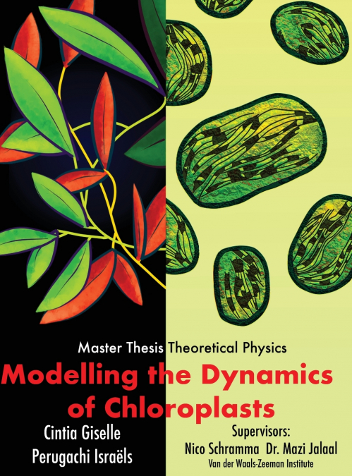 Modelling the dynamics of chloroplasts