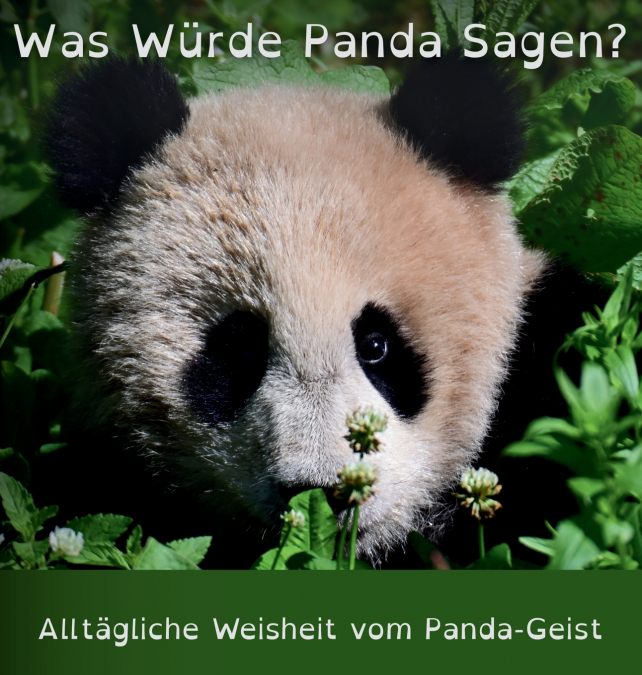 Was Würde Panda Sagen?
