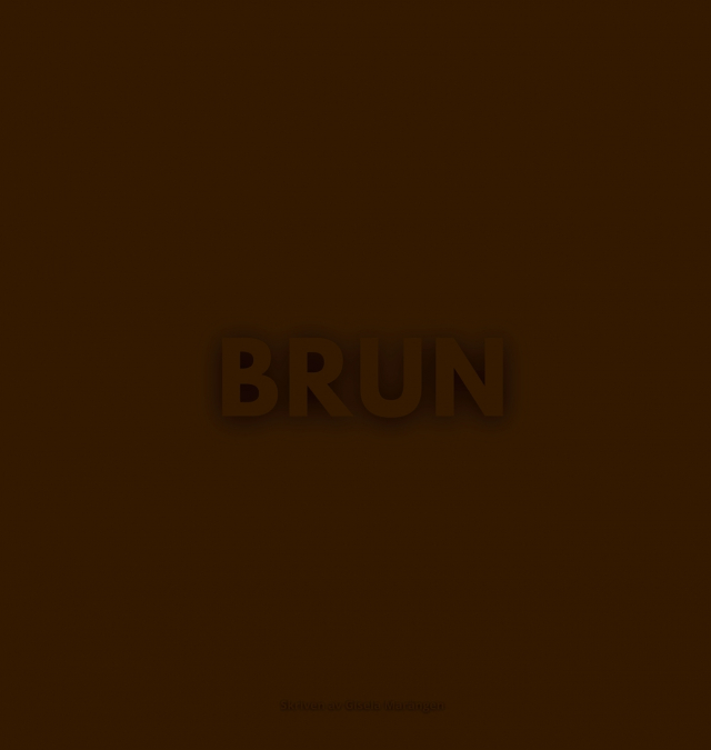 DEN BRUNA BOKEN