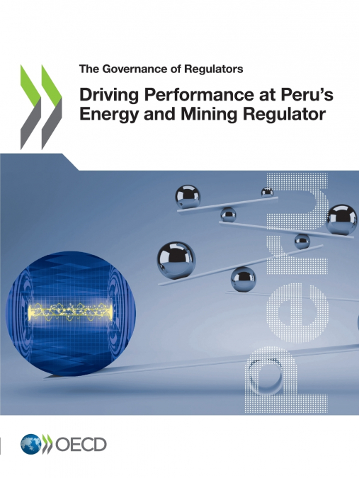 Driving Performance at Peru’s Energy and Mining Regulator