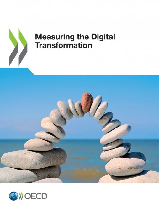 Measuring the Digital Transformation