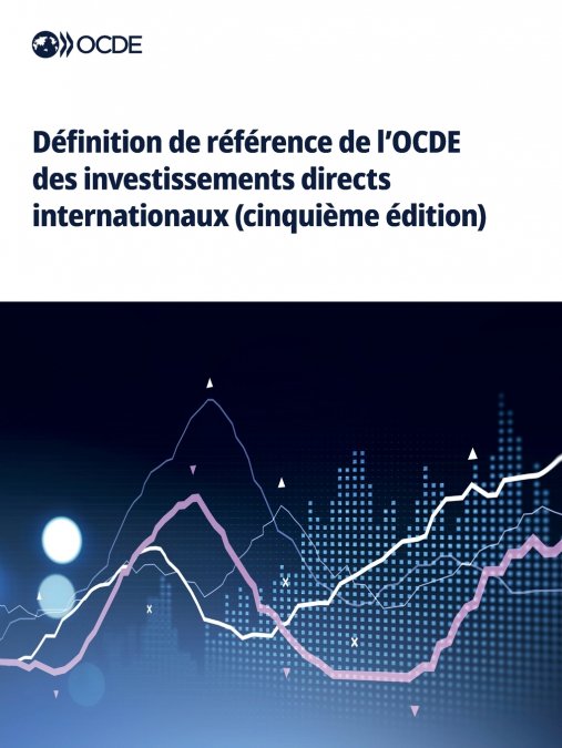 Définition de référence de l’OCDE des investissements directs internationaux (cinquième édition)