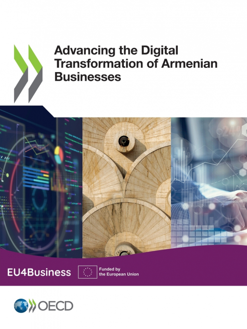 Advancing the Digital Transformation of Armenian Businesses