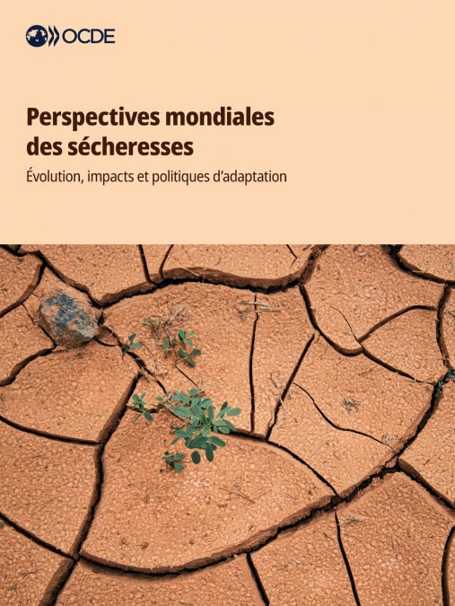 Perspectives mondiales des sécheresses
